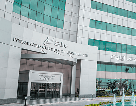 Elite Hospital, Alexandria