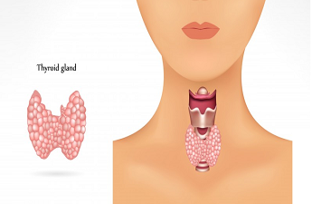 Maintain Your Thyroid Balance with India’s Leading Endocrinologist Dr. Satish Kumar S