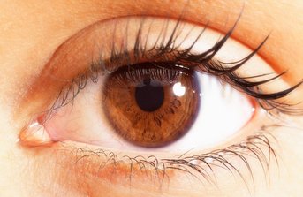 Everything You Need to Know About Corneal Transplant Surgery