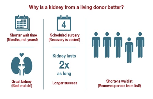 Living Donor Kidney Transplantation In India
